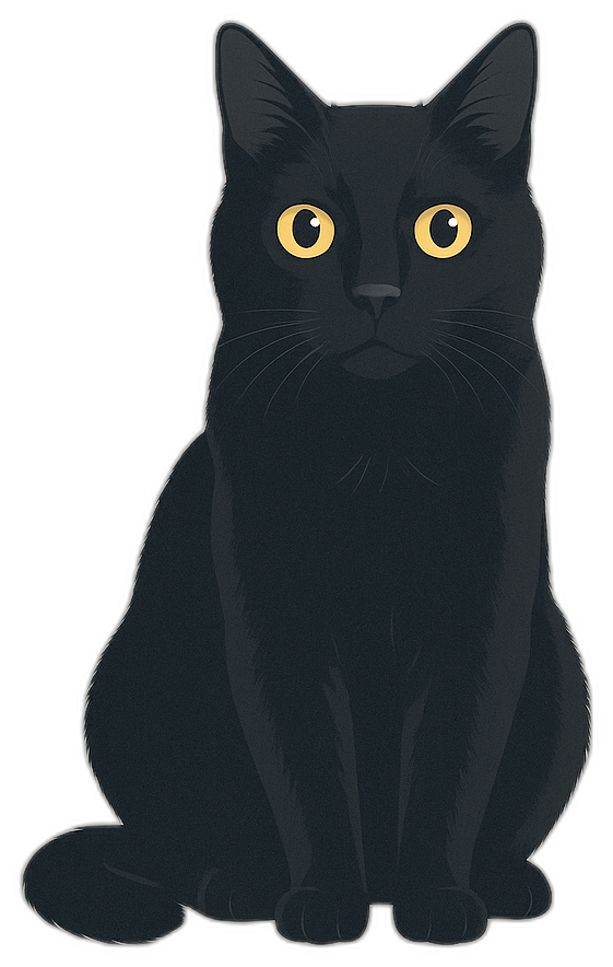 Lumi die schwarze Katze – Namensgeberin von Lumi-Systems.io